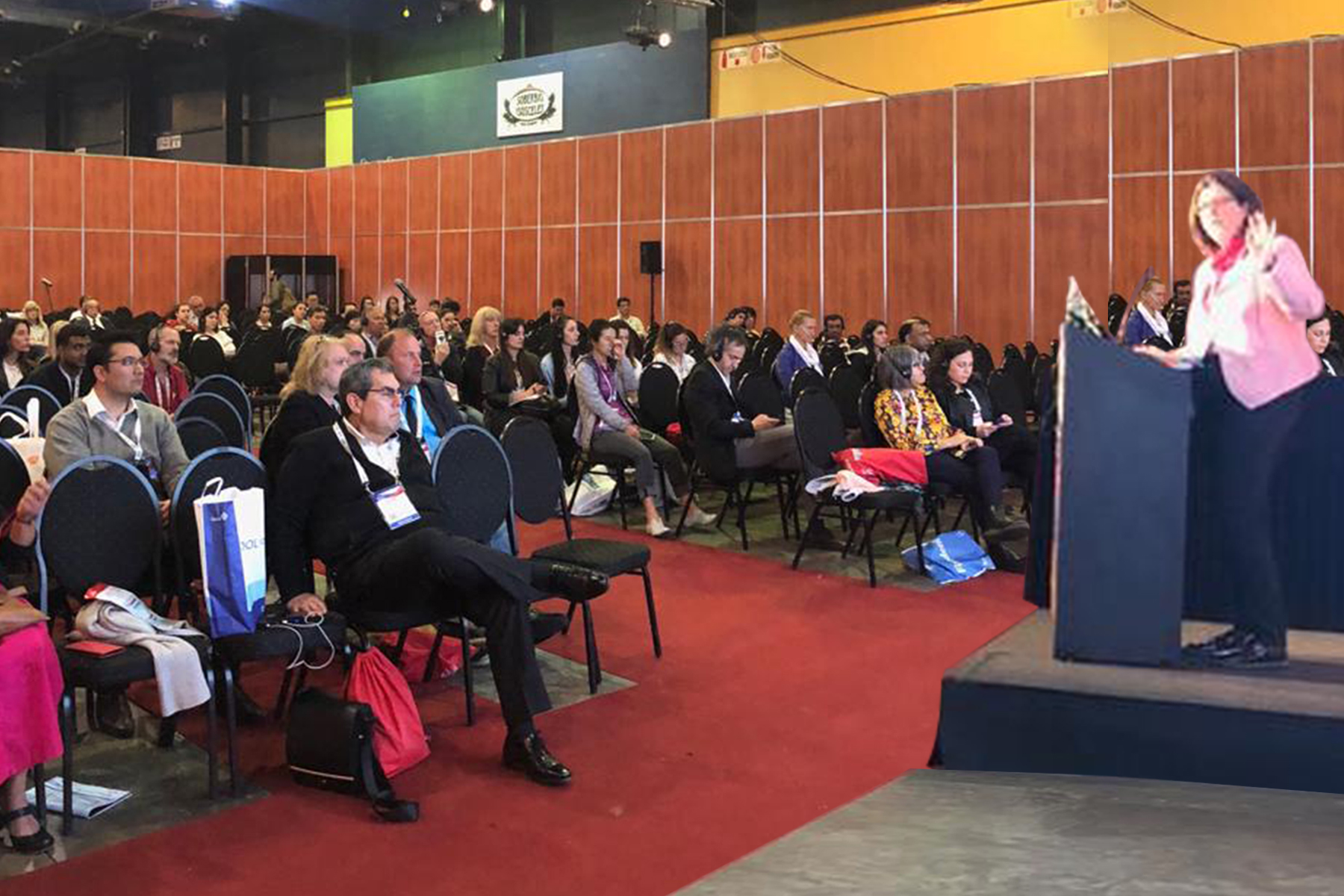 Dr Monica Daublaender at the plenary session